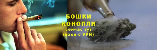 крисы Верхний Тагил