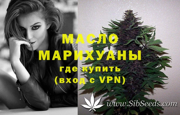 крисы Верхний Тагил