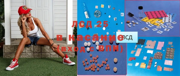 крисы Верхний Тагил