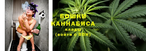 ГАЛЛЮЦИНОГЕННЫЕ ГРИБЫ Приозерск